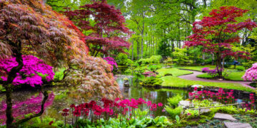 Components of a zen garden