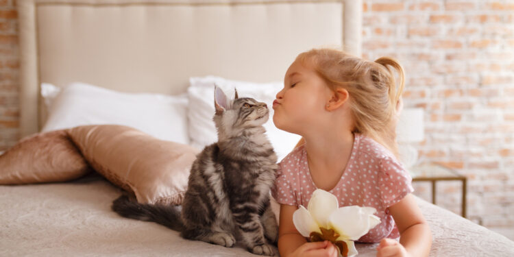 Cat love