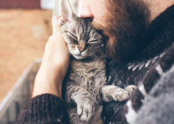 Why do people own pets?